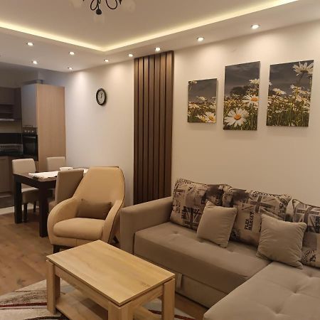 Apartment Dana Баня-Ковиляча Экстерьер фото