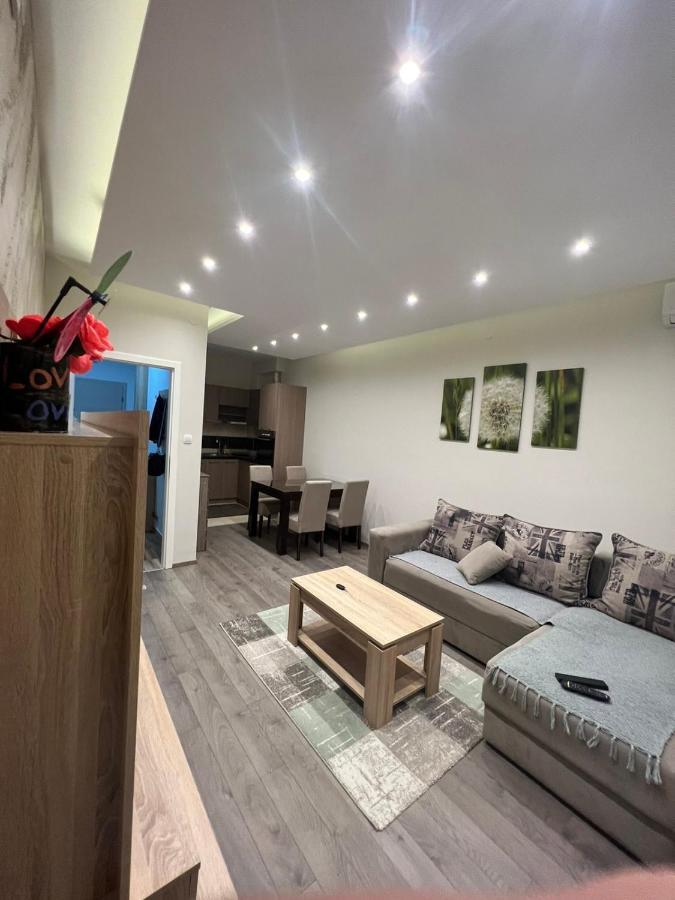 Apartment Dana Баня-Ковиляча Экстерьер фото