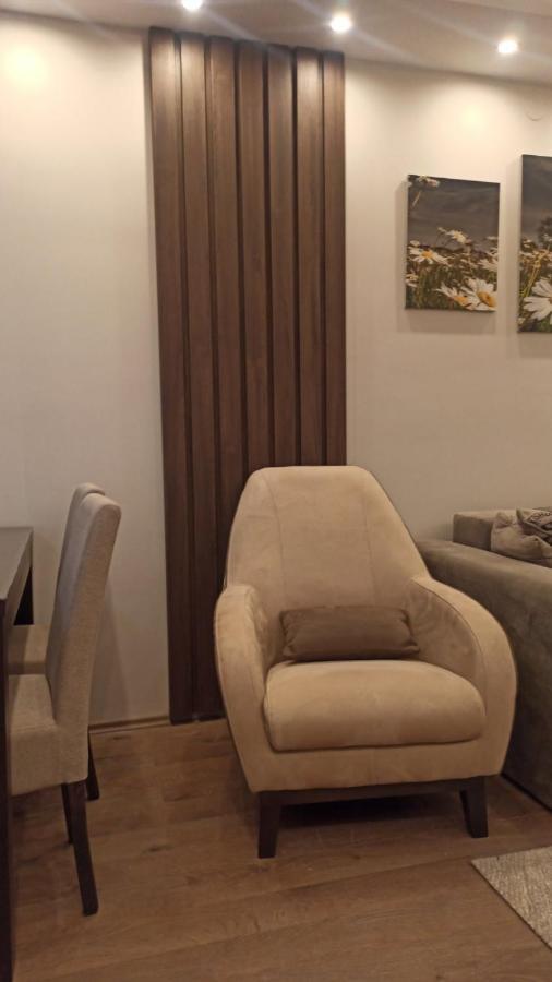 Apartment Dana Баня-Ковиляча Экстерьер фото