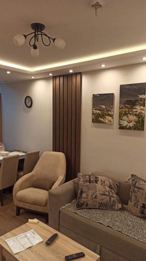 Apartment Dana Баня-Ковиляча Экстерьер фото