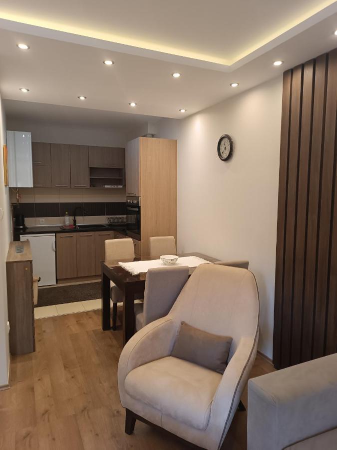 Apartment Dana Баня-Ковиляча Экстерьер фото