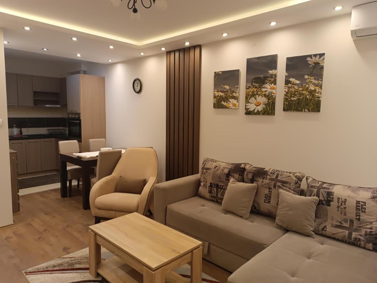 Apartment Dana Баня-Ковиляча Экстерьер фото