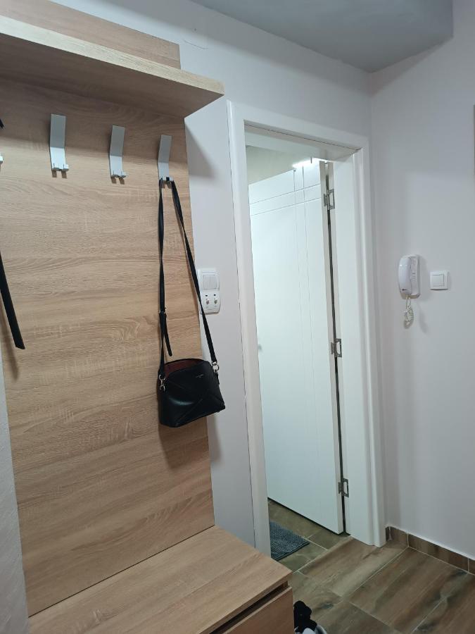 Apartment Dana Баня-Ковиляча Экстерьер фото