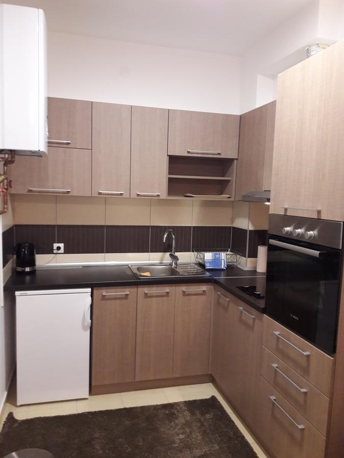 Apartment Dana Баня-Ковиляча Экстерьер фото