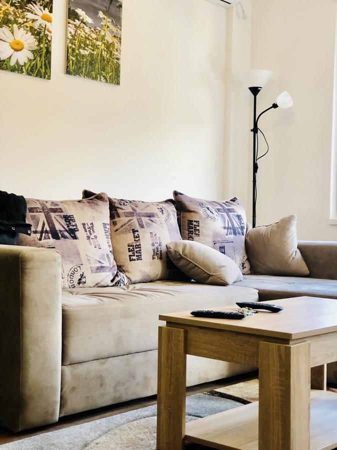 Apartment Dana Баня-Ковиляча Экстерьер фото